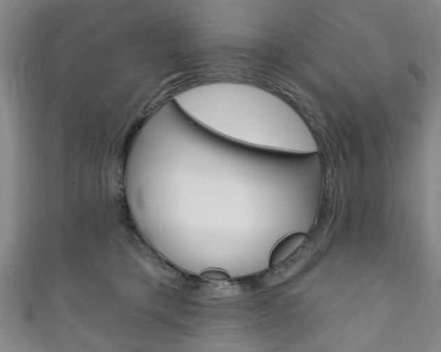 X0000111240421200907021003