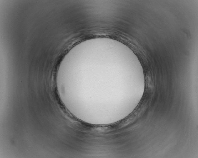 X0000111240422200907021003