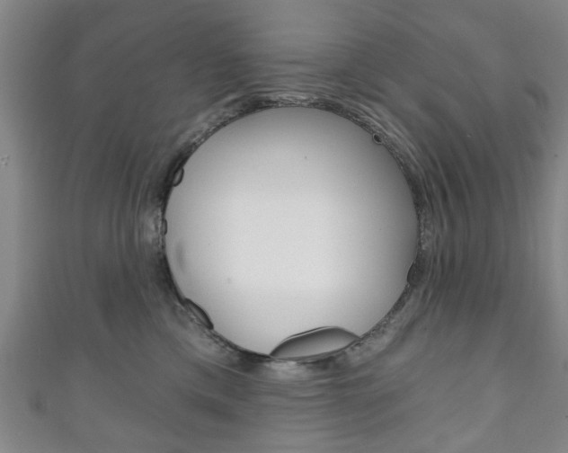 X0000111240425200907021003