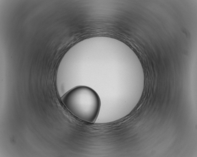 X0000111240427200907021002