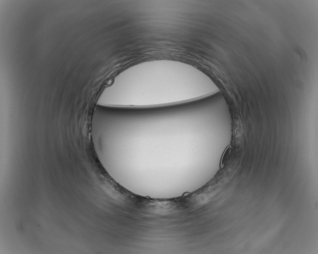 X0000111240428200907021002