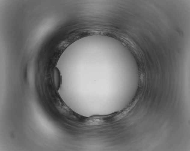 X0000111240429200907021002
