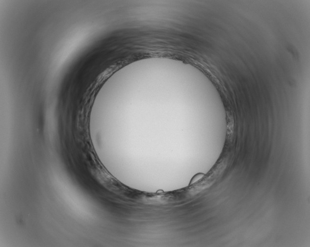 X0000111240430200907021002