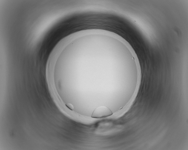 X0000111240431200907021002