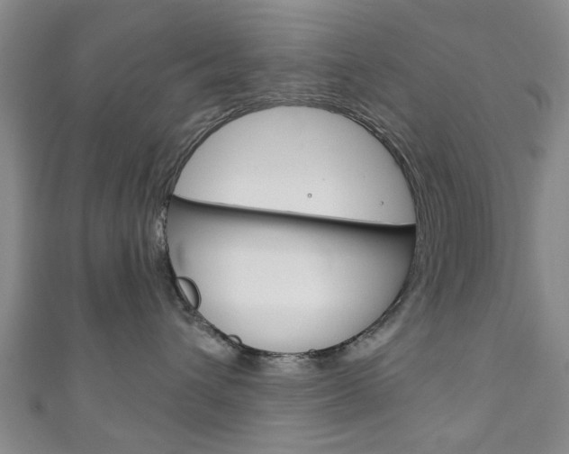X0000111240432200907021002