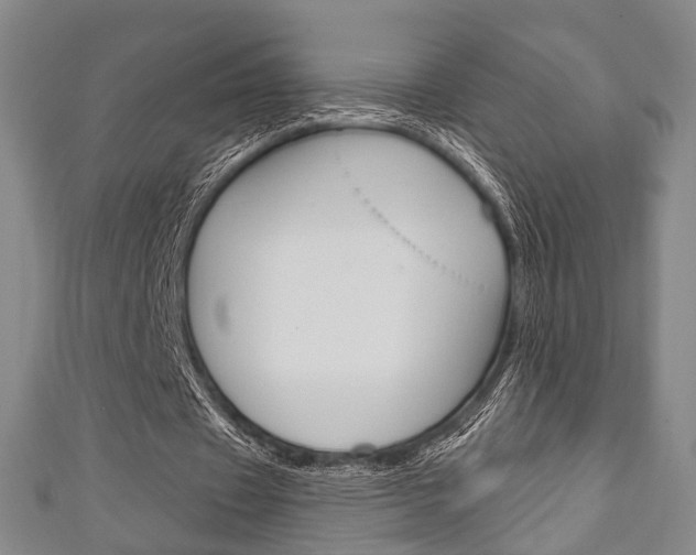 X0000111240433200907021002