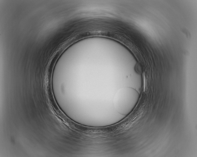 X0000111240435200907021002