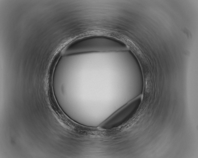 X0000111240436200907021002