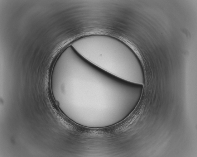 X0000111240437200907021002