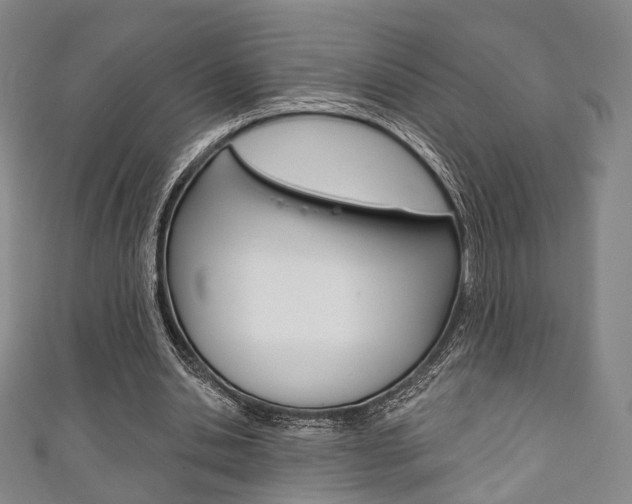 X0000111240438200907021002