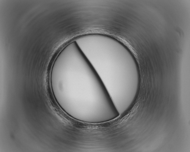 X0000111240439200907021002