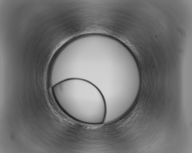 X0000111240440200907021002