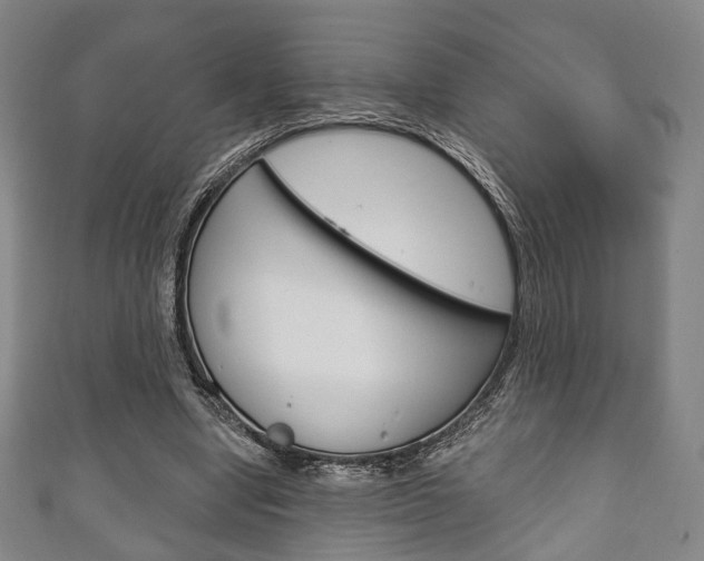 X0000111240442200907021002
