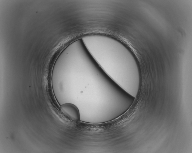 X0000111240443200907021002