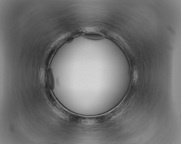 X0000111240444200907021002