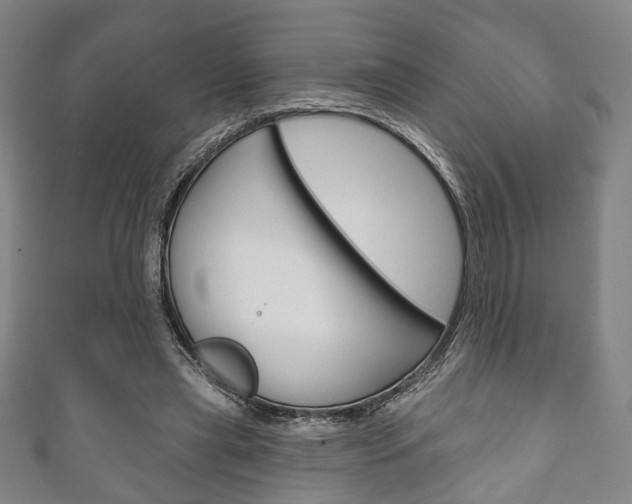 X0000111240445200907021002