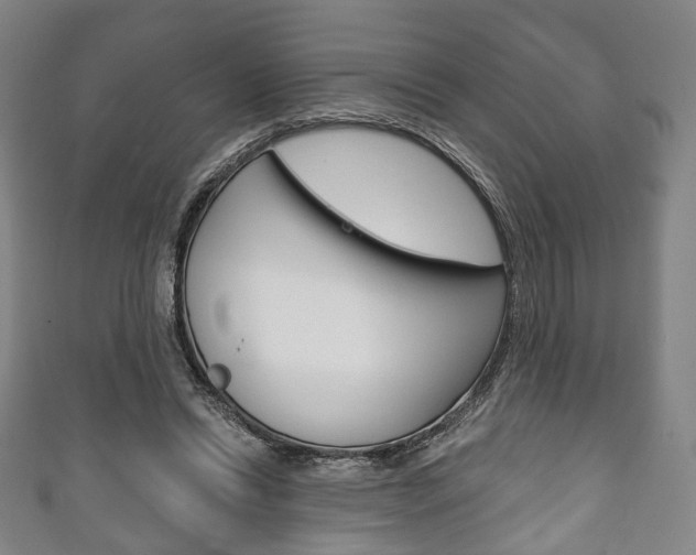 X0000111240446200907021002
