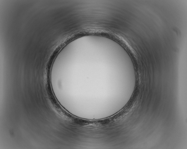 X0000111240447200907021002