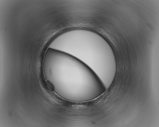 X0000111240448200907021002