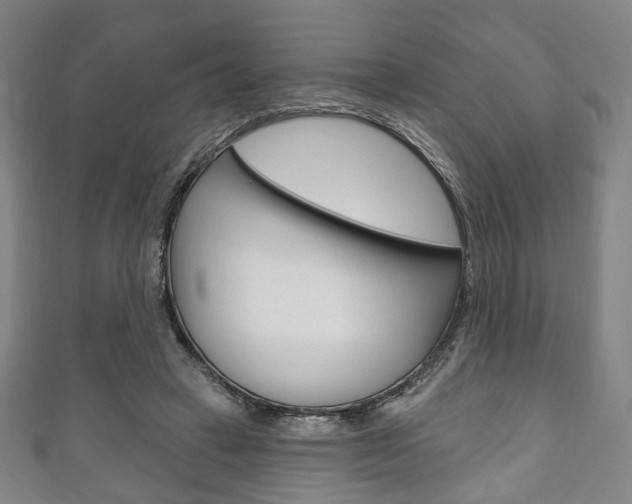 X0000111240449200907021002