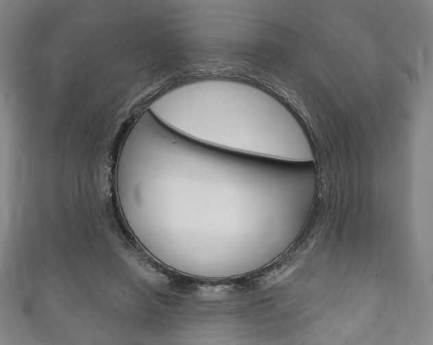 X0000111240450200907021002