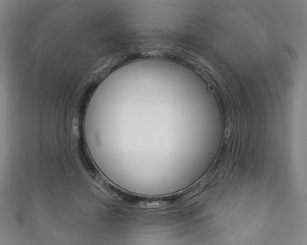 X0000111240452200907021002