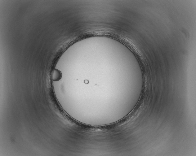 X0000111240453200907021002