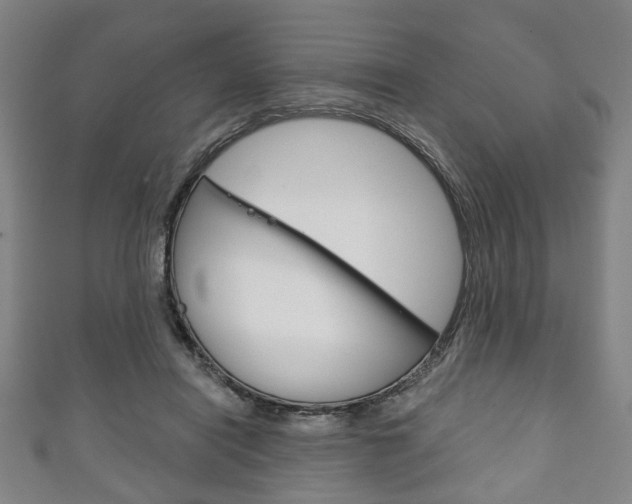 X0000111240454200907021002