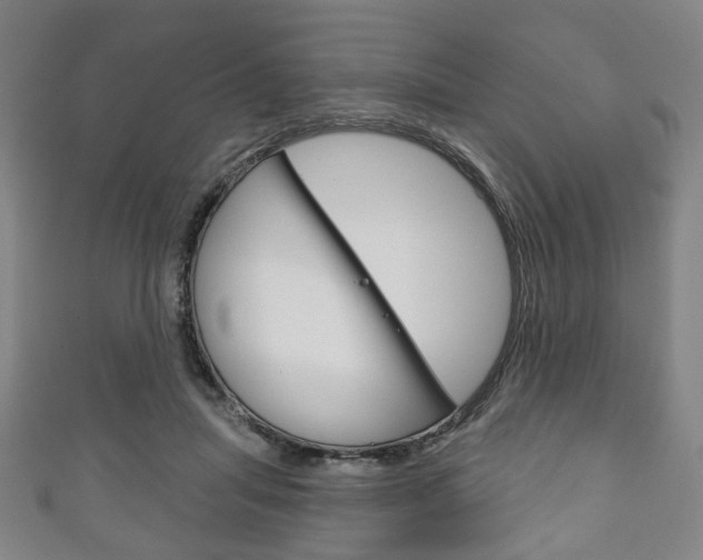 X0000111240455200907021002