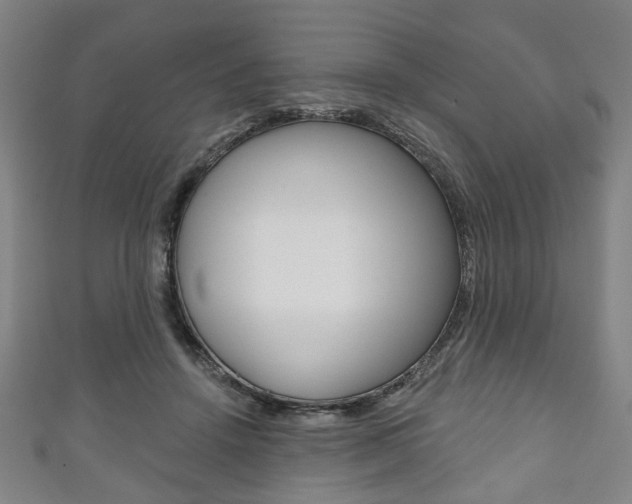 X0000111240456200907021002
