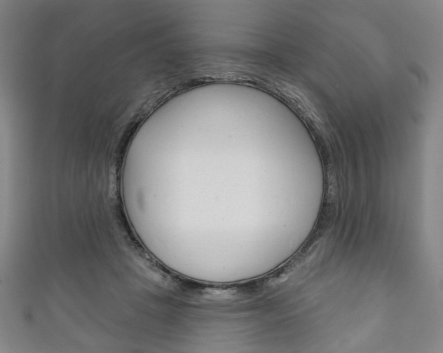 X0000111240457200907021002