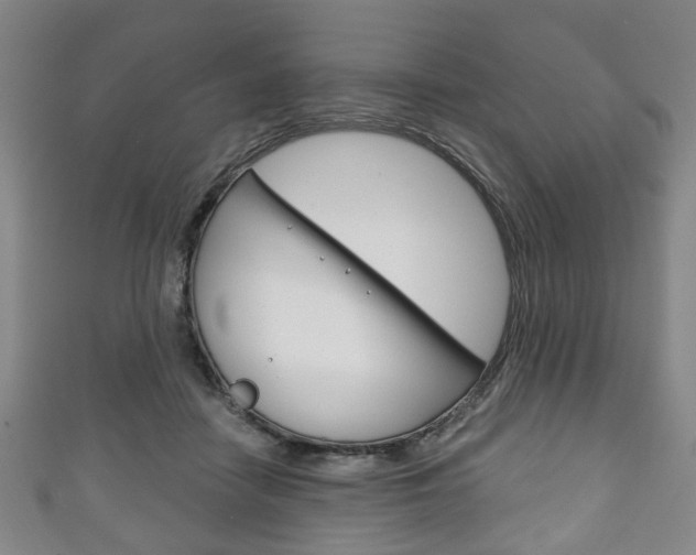 X0000111240458200907021002