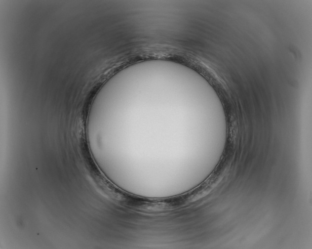 X0000111240459200907021002