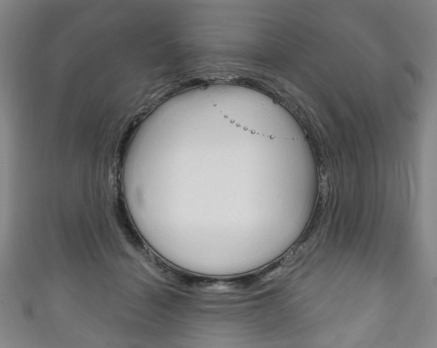 X0000111240460200907021002