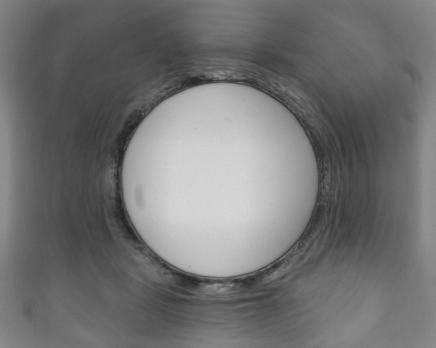 X0000111240461200907021002