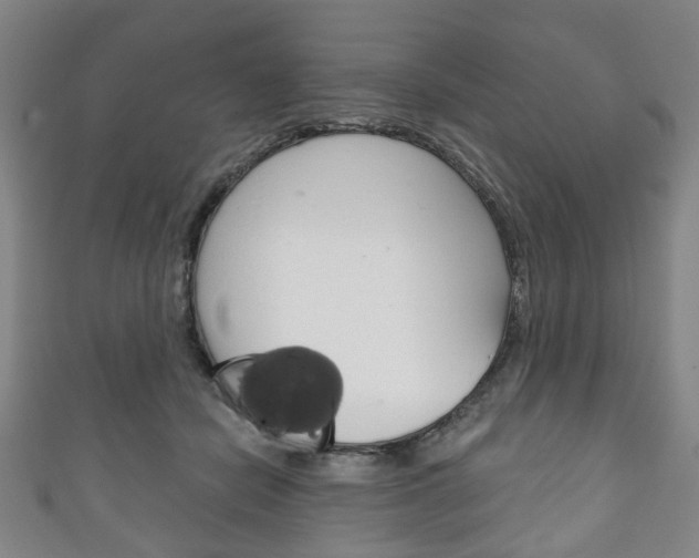 X0000111240462200907021002