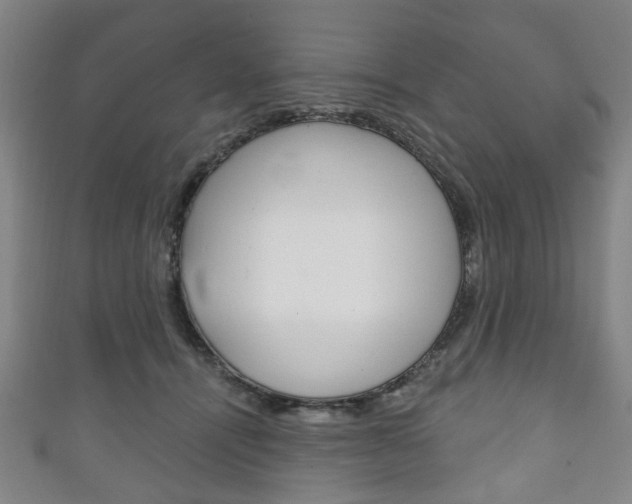 X0000111240464200907021002