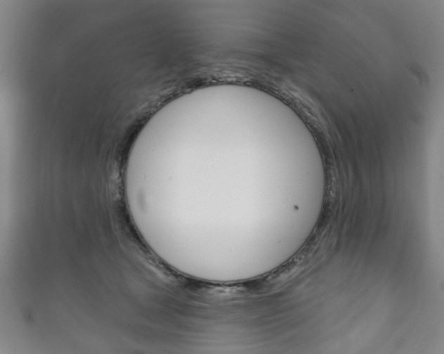 X0000111240465200907021002