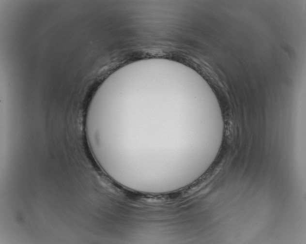 X0000111240466200907021002