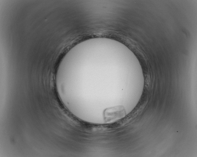 X0000111240470200907021002