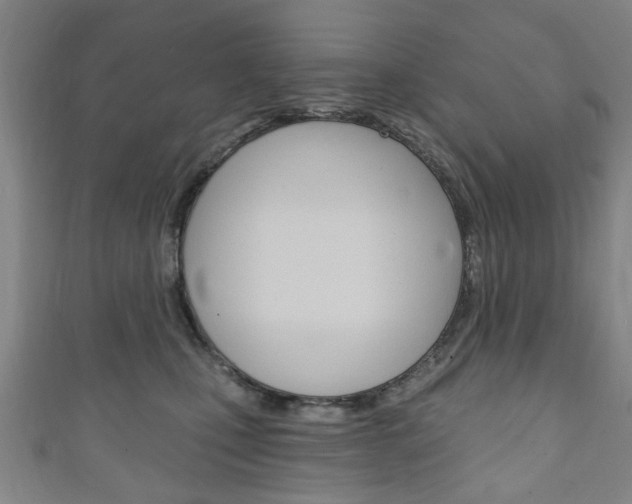 X0000111240471200907021002