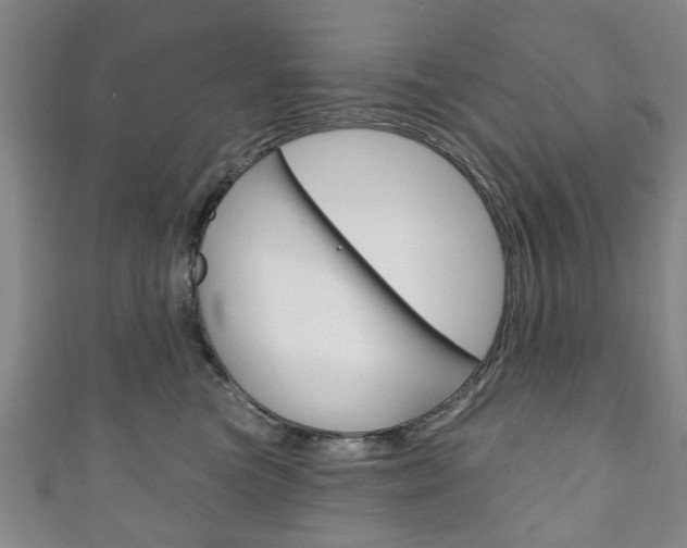 X0000111240473200907021002