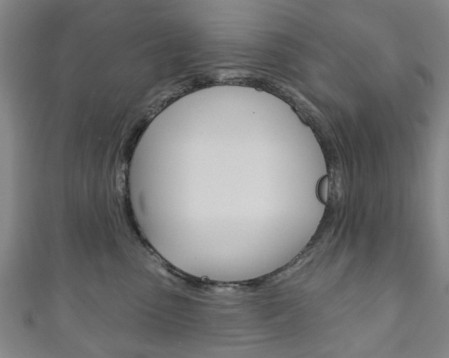 X0000111240475200907021002