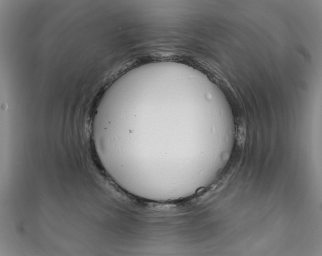 X0000111240476200907021002