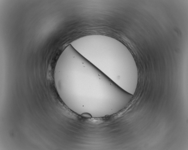 X0000111240477200907021002