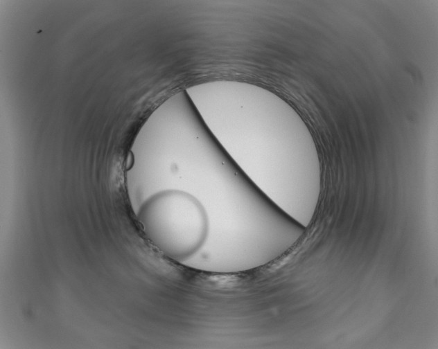 X0000111240478200907021002