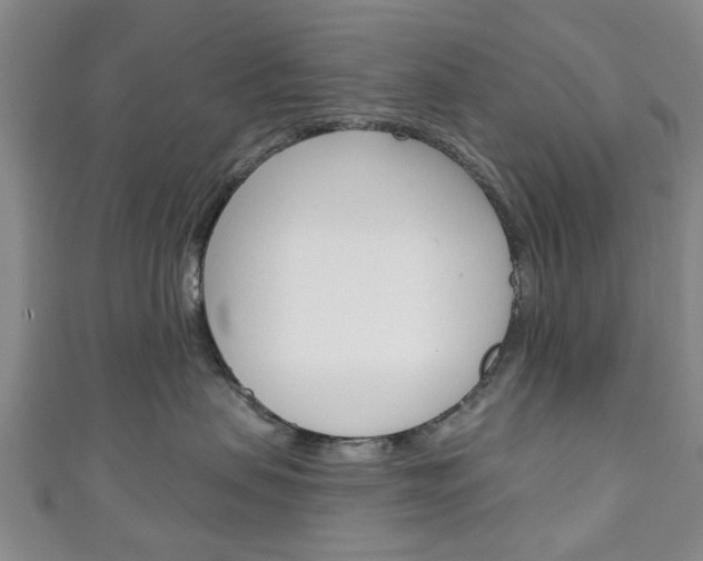X0000111240479200907021002