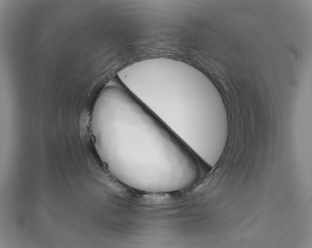 X0000111240480200907021002