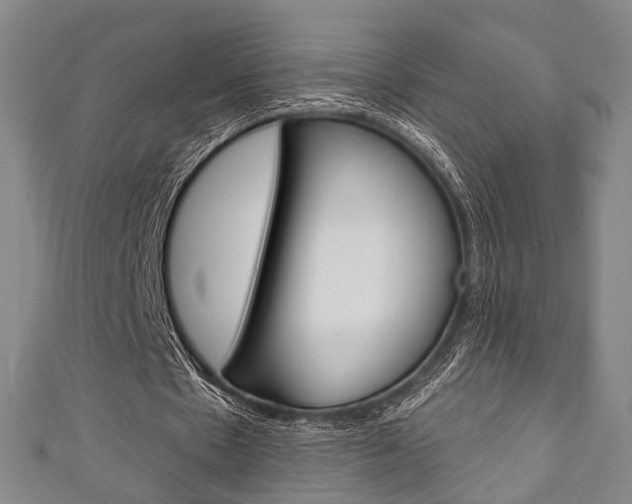 X0000111240481200907021002
