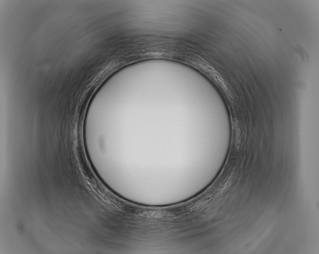X0000111240482200907021002